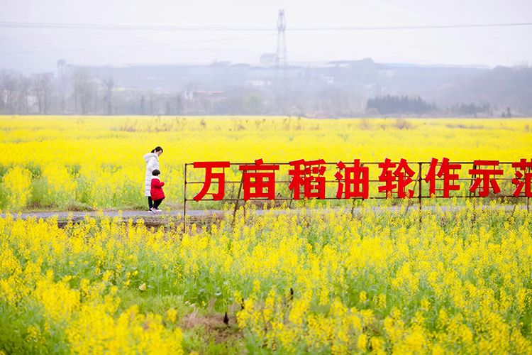 漫步花丛中.jpg