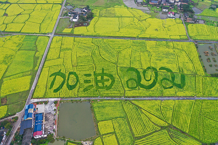 加油，2021.jpg