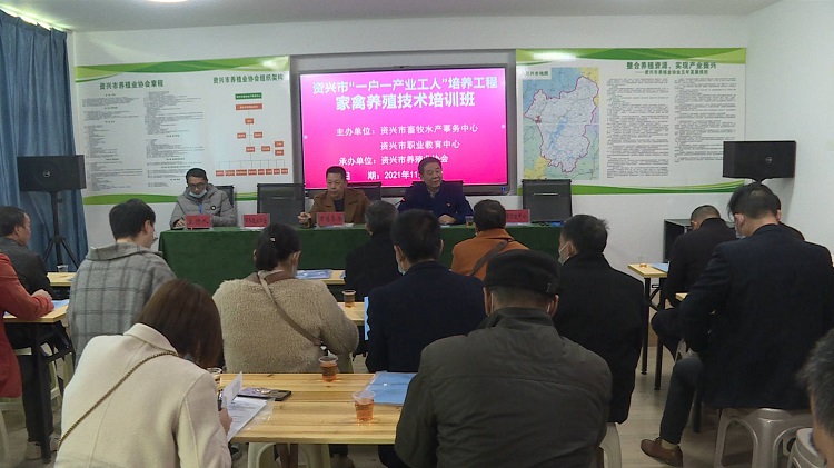 龙书记.JPG